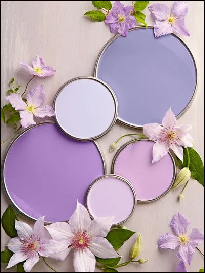 Mauve : qui joue dans le film d'Yves Boisset "Un taxi mauve" ?