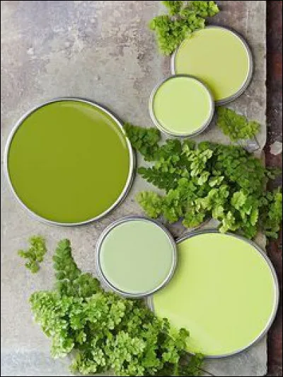 Vert : comme "Couleur menthe à l'eau". Complétez les paroles : "La fille aux yeux menthe menthe à l'eau a rangé sa mégalo, et s'est soumise aux yeux noirs, couleur..."