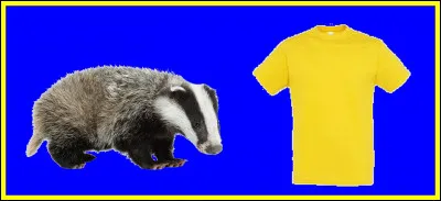 Associez les deux images, pour trouver un sportif connu.