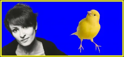 Associez les deux images, pour trouver la bonne ville.