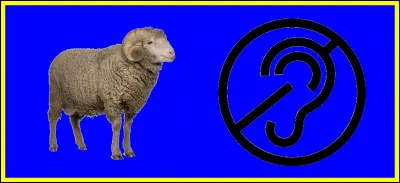 Associez les deux images, pour trouver le titre du film.