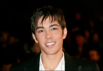 Identifiez ce chanteur fran&ccedil;ais !