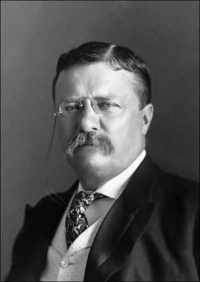 Qu'est-ce qui n'est pas à mettre au crédit de Theodore Roosevelt ?