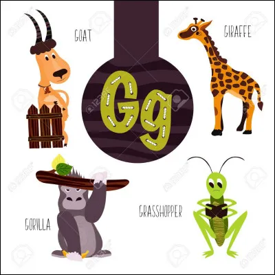 EUQIDORAP : quel est le mot juste ?