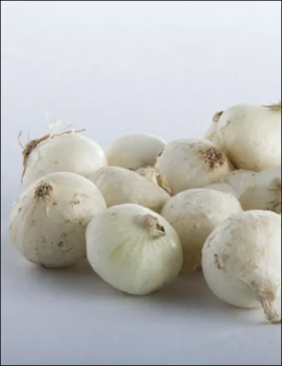 Il en faudrait bien plus pour faire peur, c'est le...