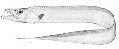 Fait de larges coupures, c'est le...