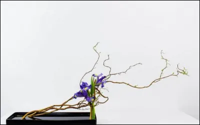 Quel est l'art du bouquet japonais ?
