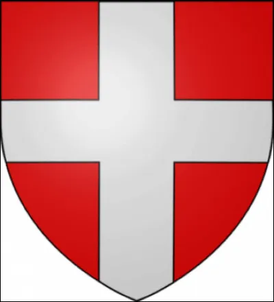 Durant quel siècle est apparu ce drapeau pour la première fois ?