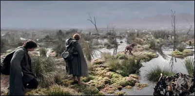 Comment s'appelle cet endroit ?