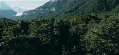 Comment s'appelle cet endroit ?