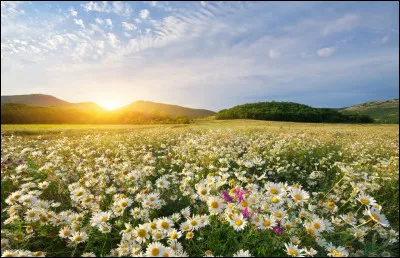 Quelle est ta saison préférée ?