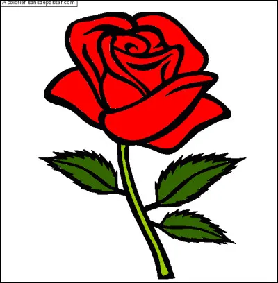 De quelle couleur est la fleur de l'image ?