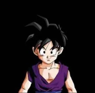 Pourquoi Gohan n'a-t-il plus les cheveux longs ?