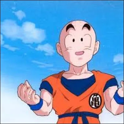 Qui embrasse Krilin dans cet arc ?