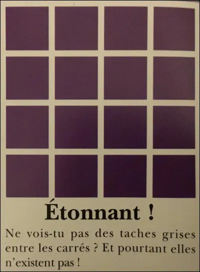 À quoi sont dues ces taches grise ?