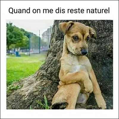 Que t'a-t-on déjà dit ?