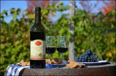 Située aux alentours du confluent de la Garonne et de la Dordogne, quelle est la plus grande région viticole de France ?