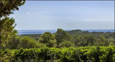 Quel est votre pays préféré ?