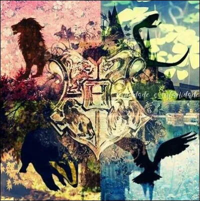 Quelle était sa maison à Poudlard ?