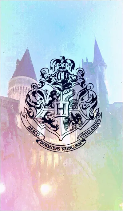 Quels ont été ses résultats lors de sa formation pour devenir Auror ?