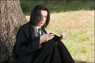Qui harcelait Severus Rogue ?
