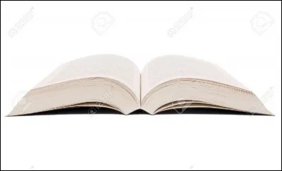 Quel est le prénom de l'auteur du livre "Le combat d'Odiri" ?