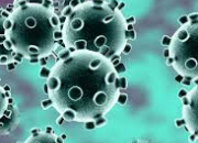 Quiz Le COVID-2019 ou coronavirus