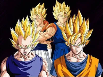 Qui était l'instructeur de Son Goku lorsqu'il a passé son permis de conduire ?