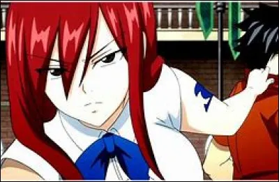 Durant la bataille de Fairy Tail, combien de sphères électriques Erza a-t-elle réussi à détruire ?