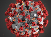 Quiz Le Coronavirus, le connaissez-vous vraiment ?
