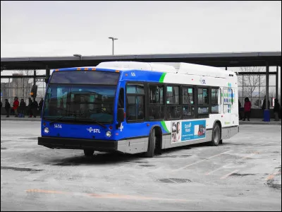 Pour finir, un peu d'exotisme avec un autobus très commun outre-Atlantique. Quel est le nom de ce bus canadien ?