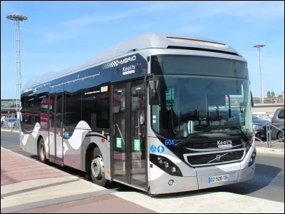 Comment s'appelle ce bus nordique assez peu diffusé en France ?