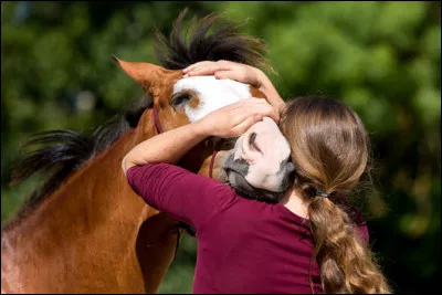 "Ils avaient la couleur du fer
Pas assez noirs, pas assez gris
Un ciel blanc barré d'un éclair
Et une tendresse infinie".
De quelle chanson de Michel Sardou proviennent ces paroles ?