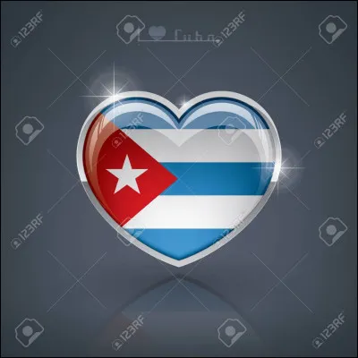 À quoi ressemble un vrai cur ?