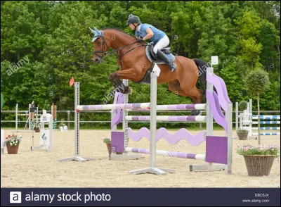 Laquelle de ces quatre réponses cite un obstacle double ?