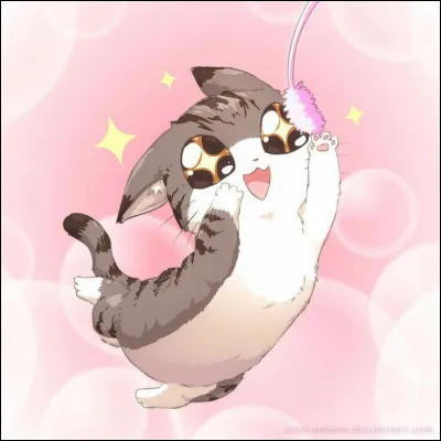 En cours d'EPS, tu :