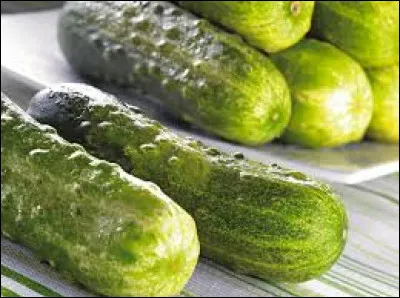 Le cornichon est récolté :