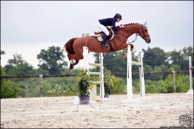 Une jument ne peut participer aux JO que si elle va dans la catégorie cavalière.