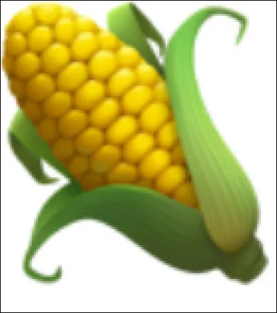 C'est un(e) ... de maïs.