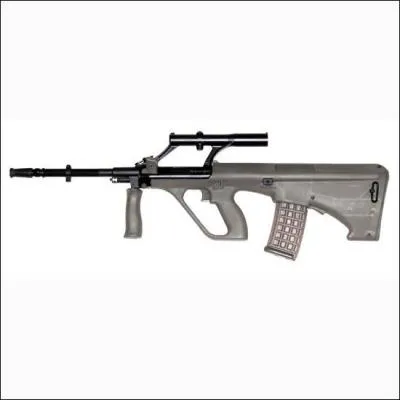 Quel est cette arme ?