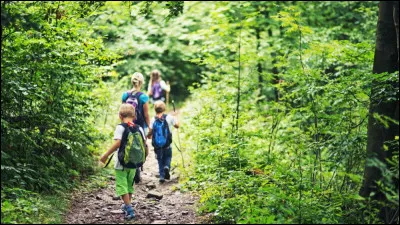 Promenons-nous dans les bois...