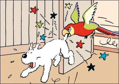 Comment s'appelle le perroquet qui transmet la psittacose à Milou dans "Tintin au Congo" ?