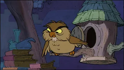 Où rencontre-t-on ce hibou ?