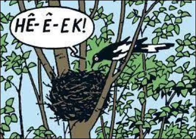 Dans quel album de Tintin rencontre-t-on une pie voleuse ?