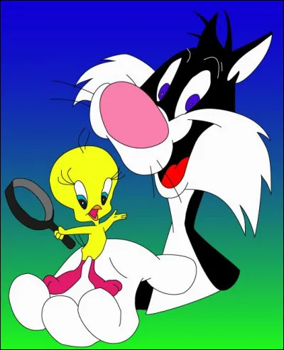 Qui est l'oiseau Titi ?