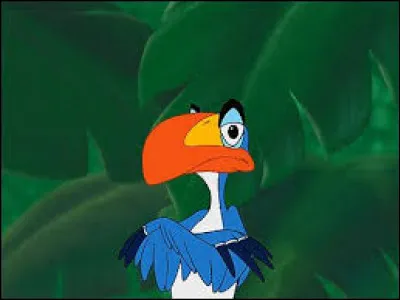 Quelle est la race de cet oiseau que l'on rencontre dans "Le roi Lion" ?