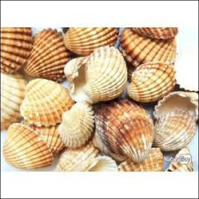 Ces ...... sont vraiment magnifiques !