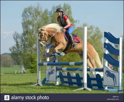 Que signifie C.C.E ?