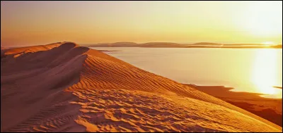 Si vous éternuez sans cesse et avez le nez qui coule, pas de panique, ce n'est pas le coronavirus, juste un gros rhume.