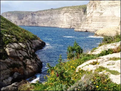 Continuons à boire et, pour fabriquer votre whisky, il vous en faudra.